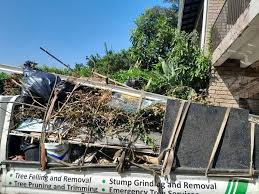 Trusted Frazier Park, CA Junk Removal Services Experts